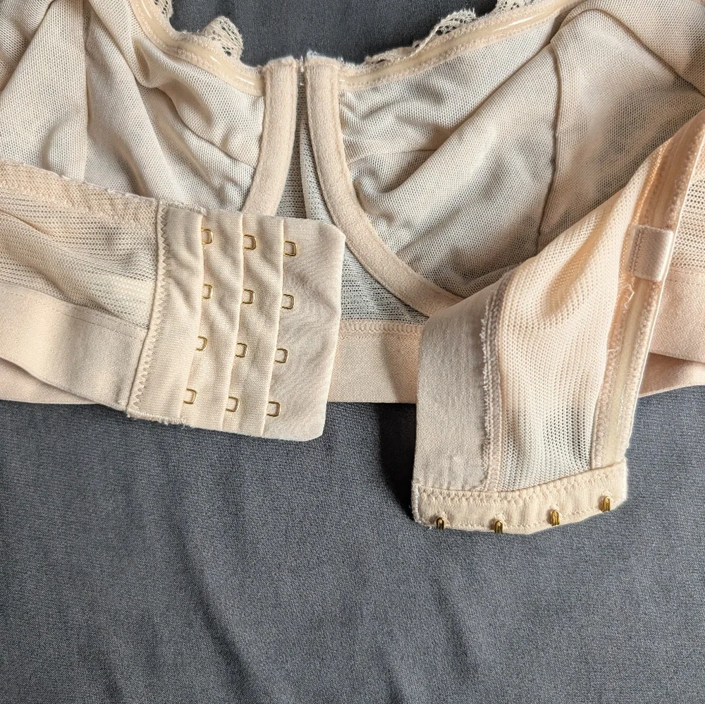 Lively The Lace Strapless Bra in Toasted Almond - 38C - Picture 6 of 9